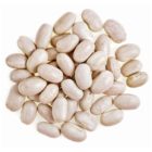 Great Northern Beans