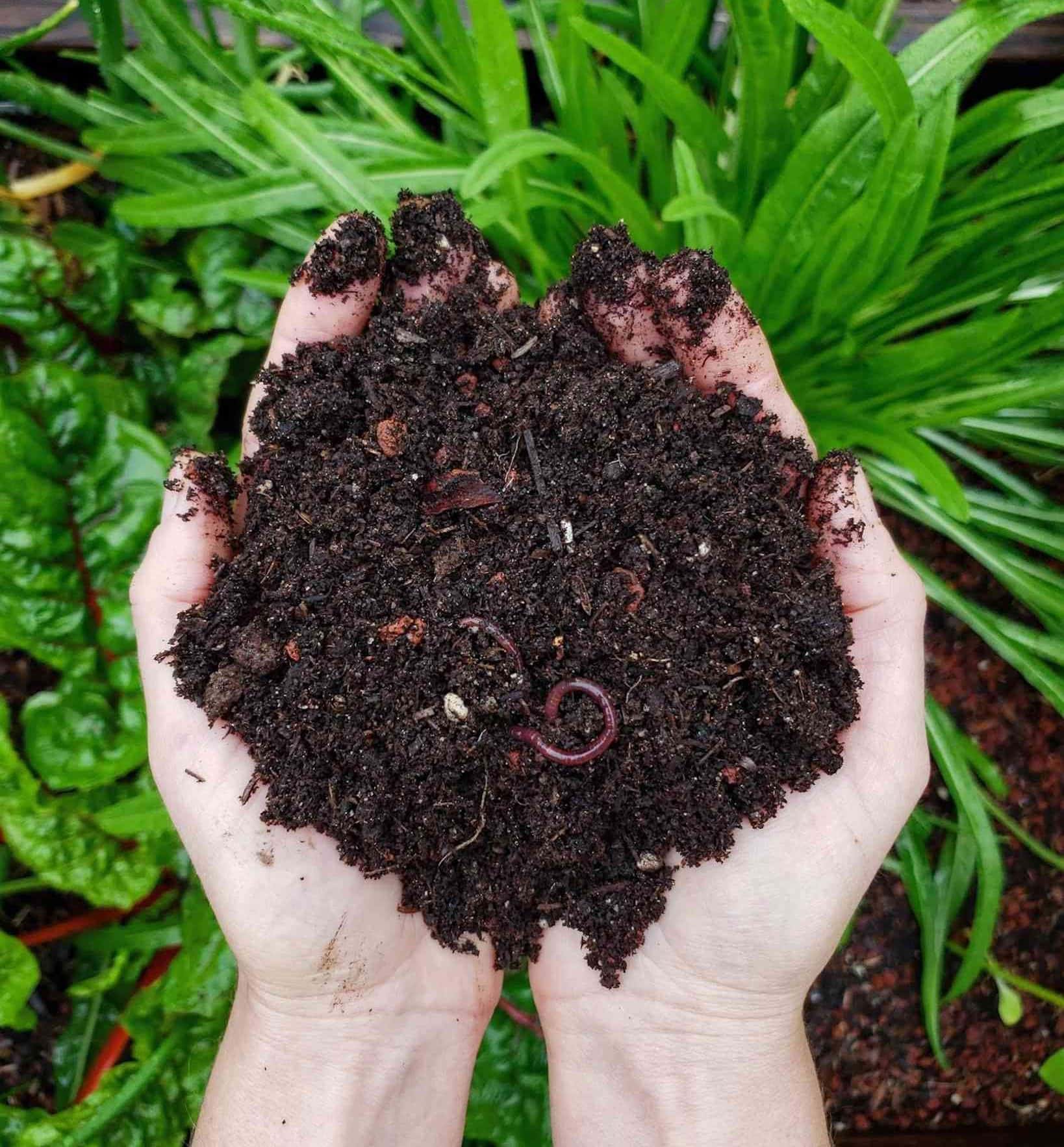 Biochar-Compost-Potting soil